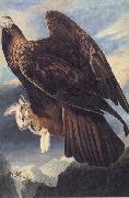 John James Audubon Golden Eagle France oil painting artist